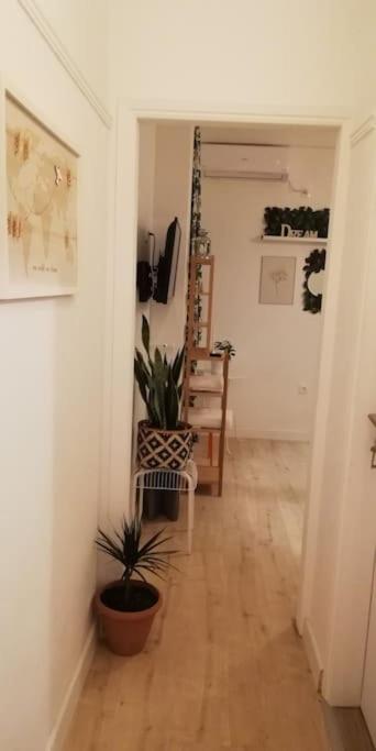 Heart Of Athens II 25Sqm Apartment Екстериор снимка